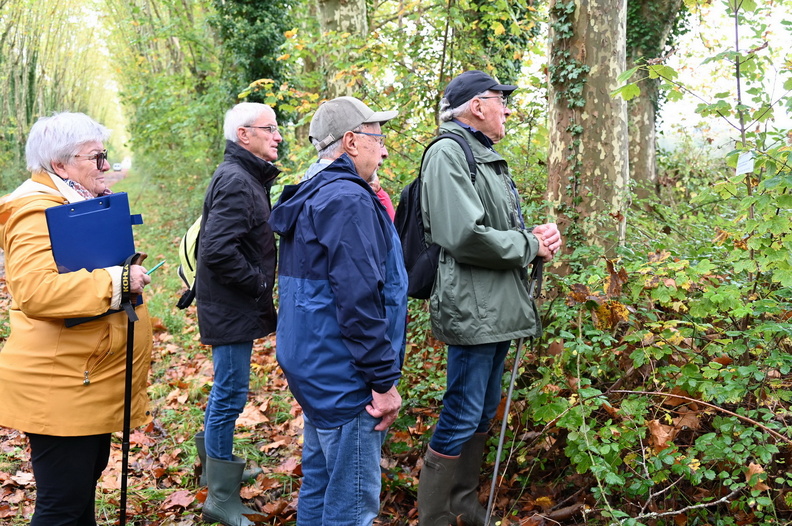 241017092FR Trophée des ségniors 2024