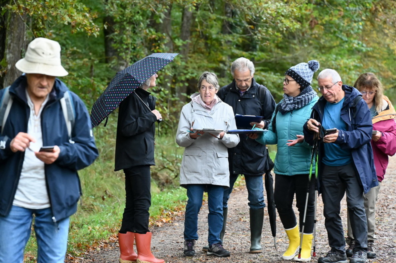 241017122FR Trophée des ségniors 2024