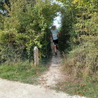 WhatsApp Image 2025-10-03 at 08.04.55